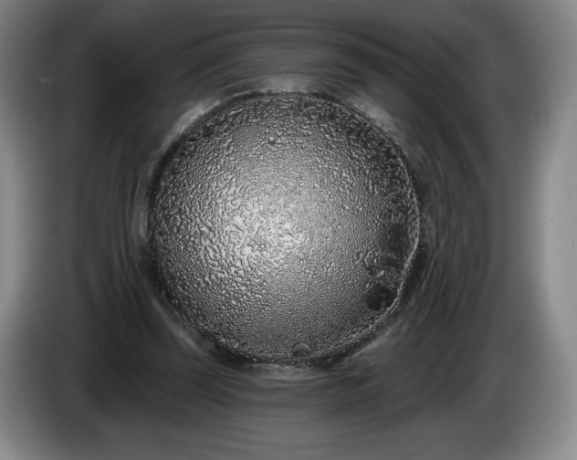 X0000085000347200703121505