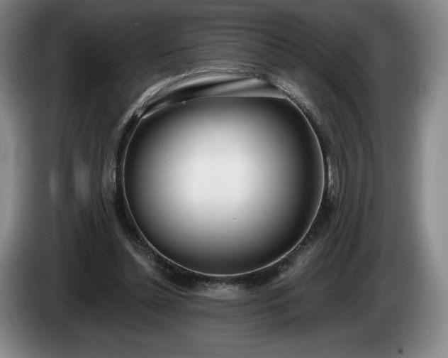 X0000085000348200703121505