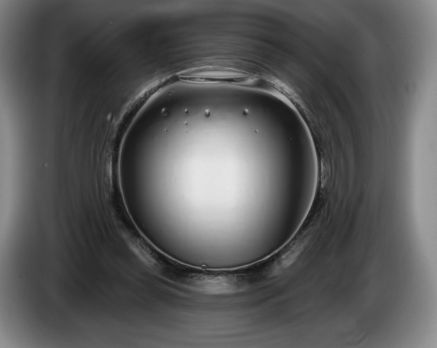 X0000085000349200703121505