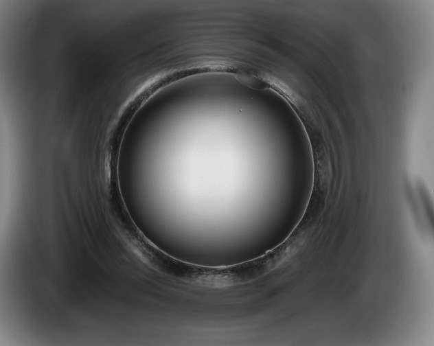 X0000085000350200703121505