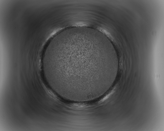 X0000085000351200703121505