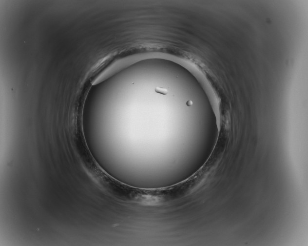 X0000085000352200703121505