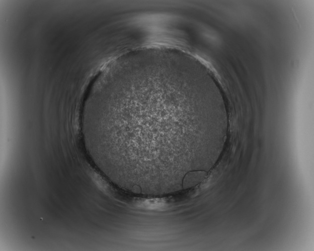 X0000085000353200703121505