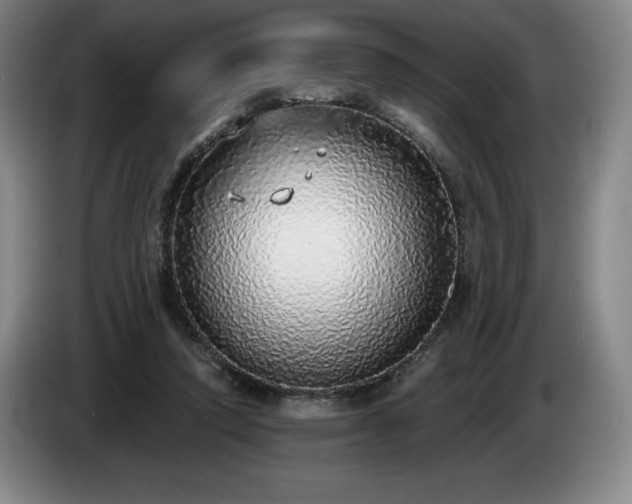 X0000085000354200703121505