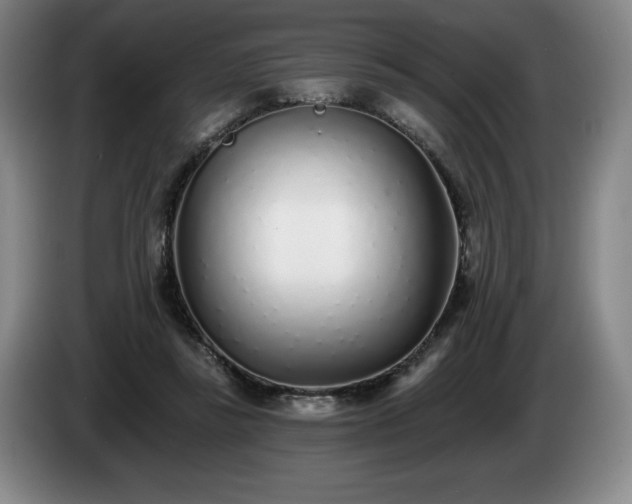 X0000085000355200703121505