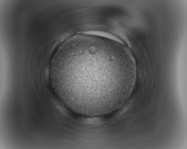 X0000085000357200703121505