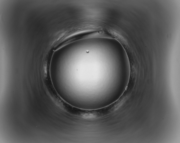 X0000085000358200703121505