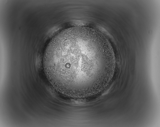 X0000085000359200703121505