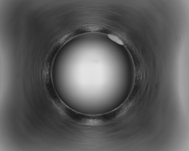 X0000085000360200703121505