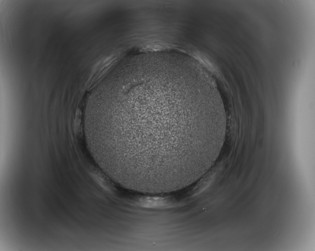 X0000085000361200703121505