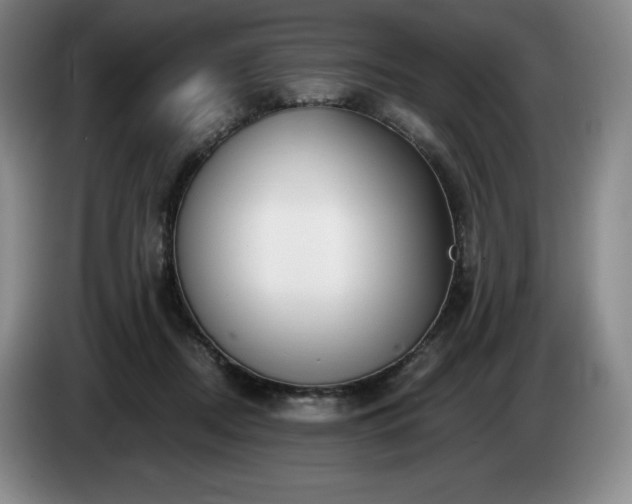 X0000085000362200703121505