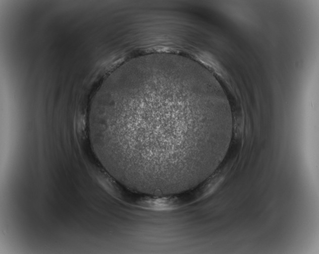 X0000085000365200703121505