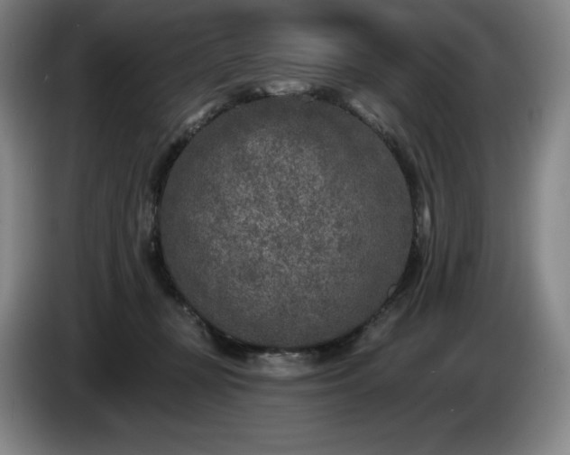 X0000085000367200703121505