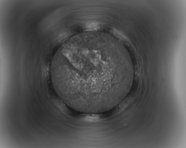 X0000085000369200703121505