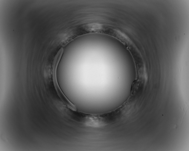 X0000085000372200703121505