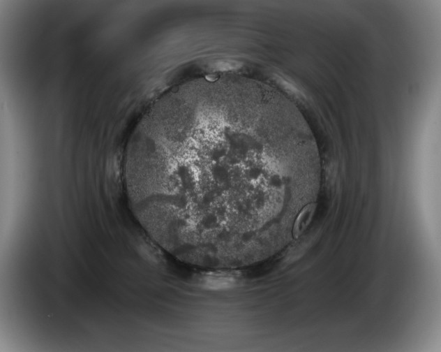 X0000085000373200703121505