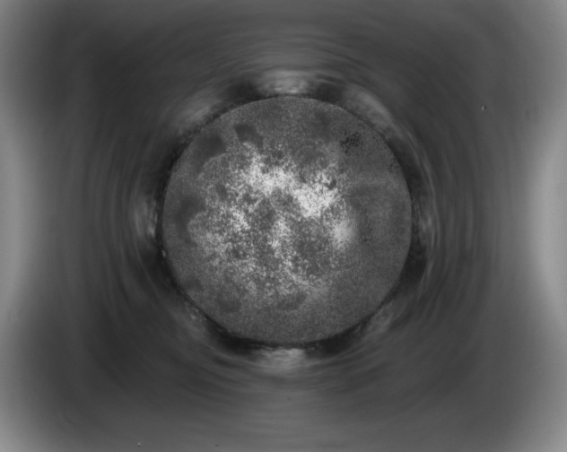 X0000085000374200703121505