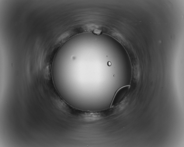 X0000085000378200703121505