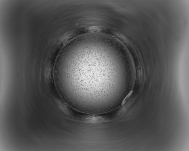 X0000085000379200703121505