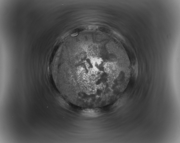 X0000085000381200703121505