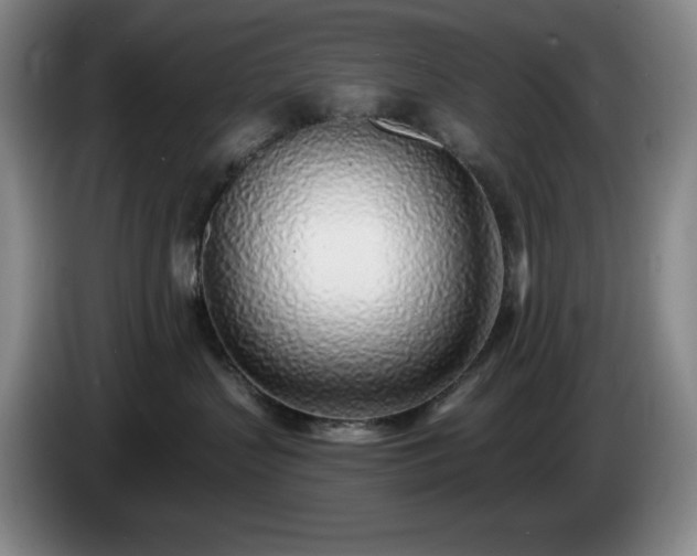 X0000085000383200703121505