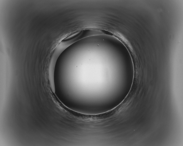 X0000085000385200703121505