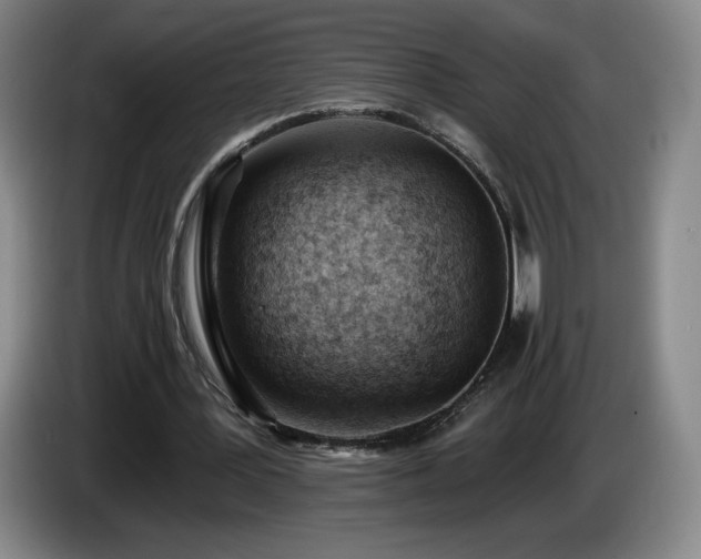 X0000085000387200703121505