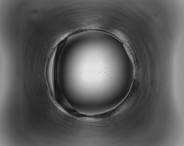 X0000085000389200703121505