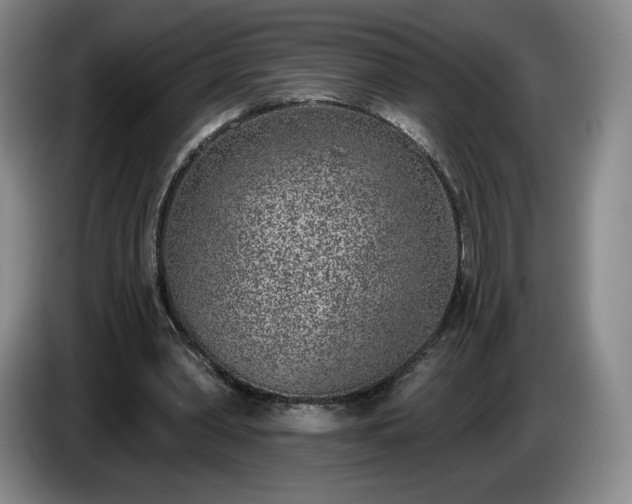 X0000085000390200703121505