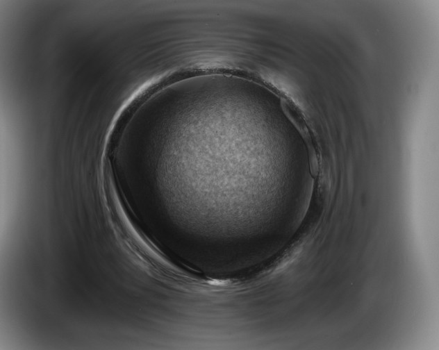 X0000085000391200703121505