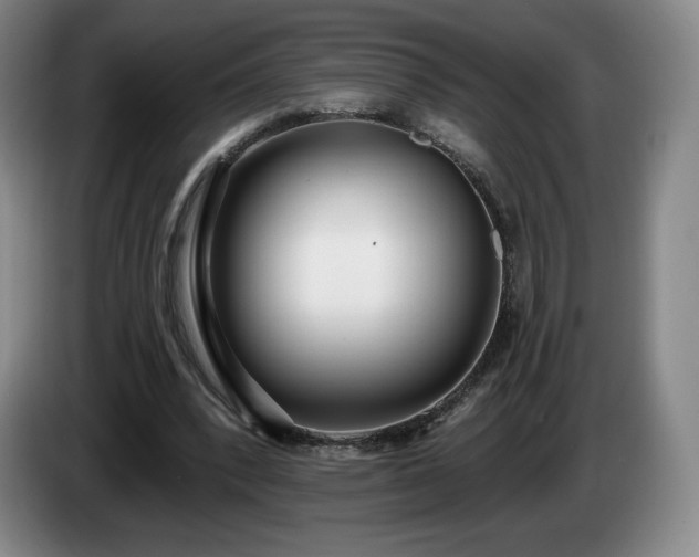 X0000085000392200703121505