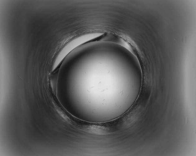 X0000085000393200703121505