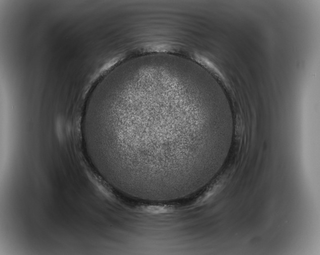 X0000085000394200703121505