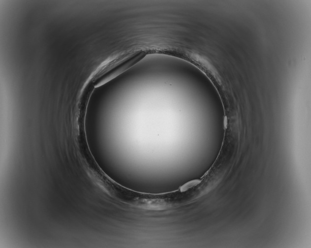 X0000085000395200703121505