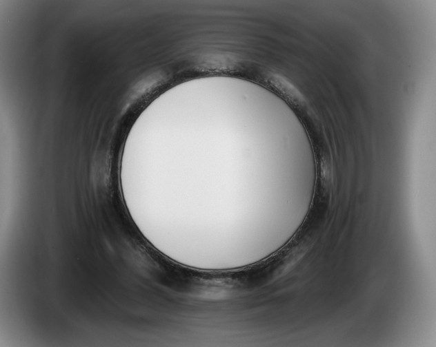 X0000085000396200703121505