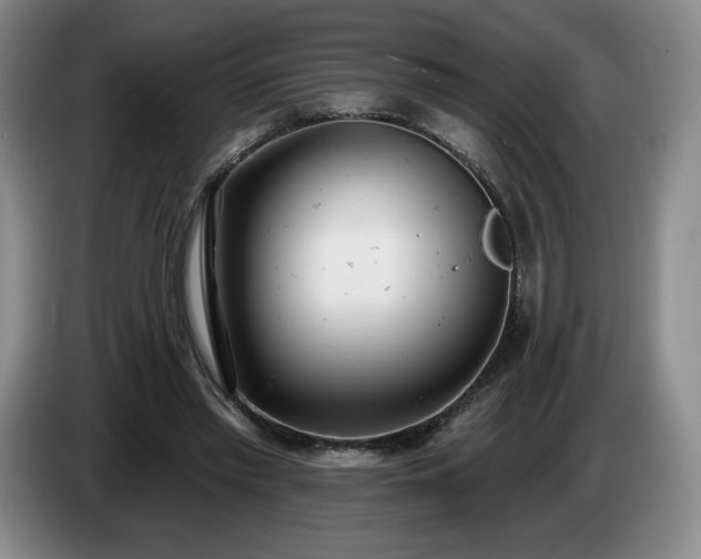 X0000085000397200703121505