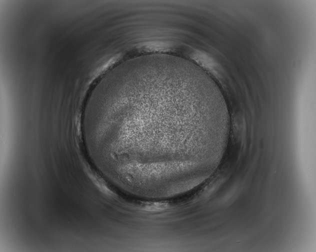 X0000085000398200703121505