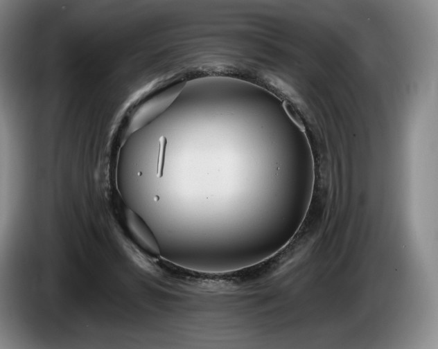 X0000085000399200703121505