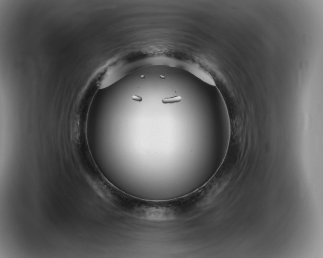 X0000085000400200703121505