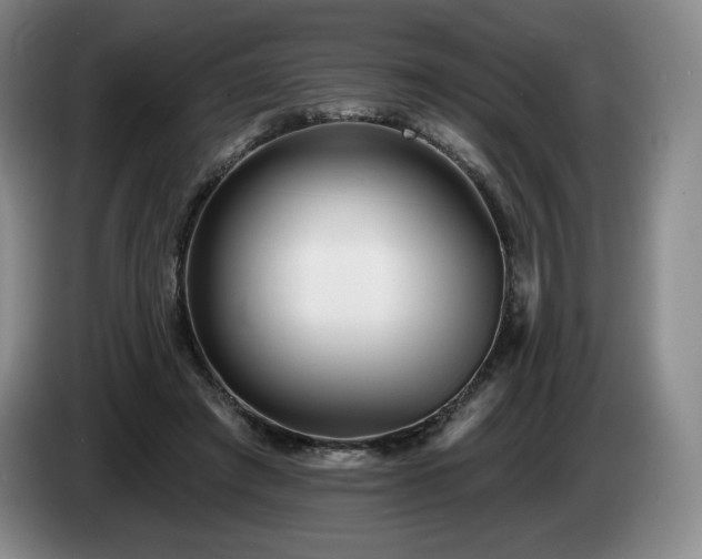 X0000085000401200703121505