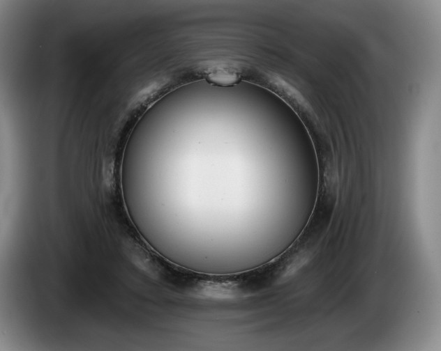 X0000085000403200703121505