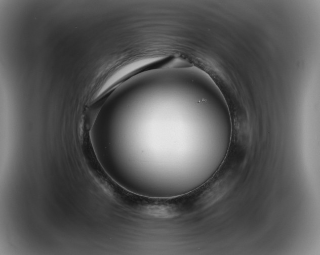 X0000085000404200703121505