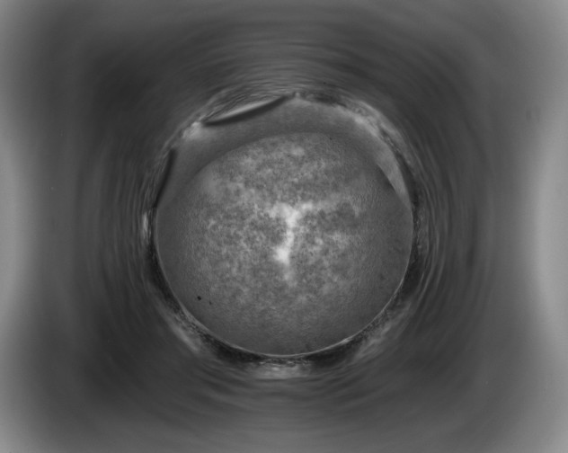 X0000085000405200703121505