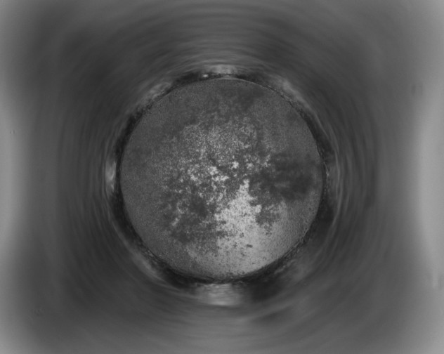 X0000085000406200703121505