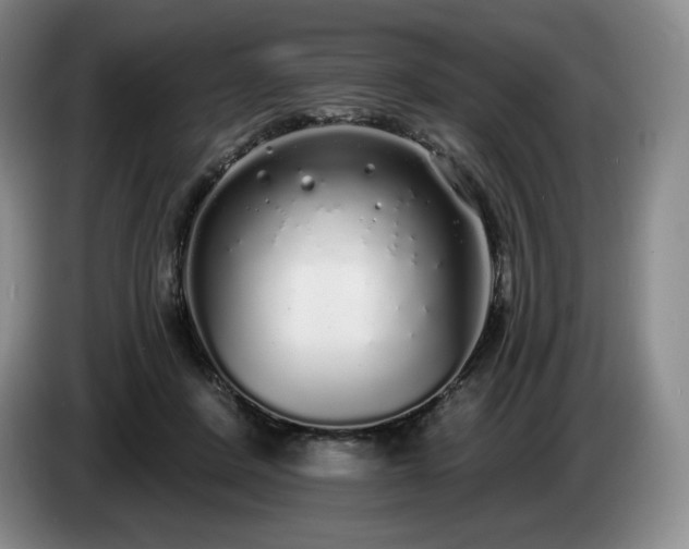 X0000085000408200703121504