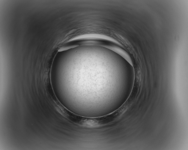 X0000085000409200703121504