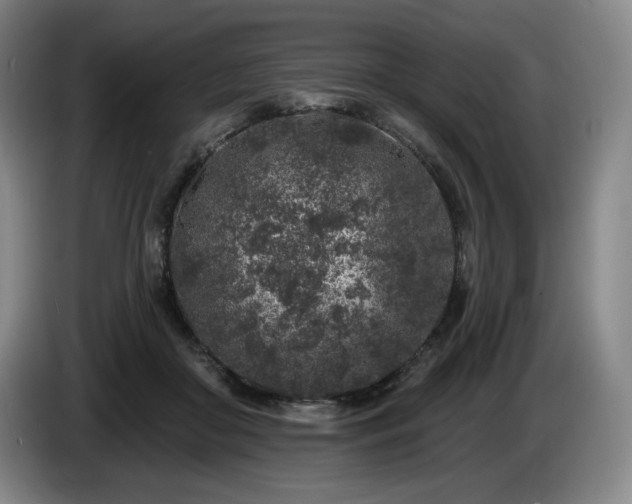 X0000085000410200703121504