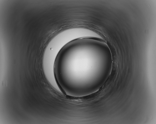 X0000085000411200703121504