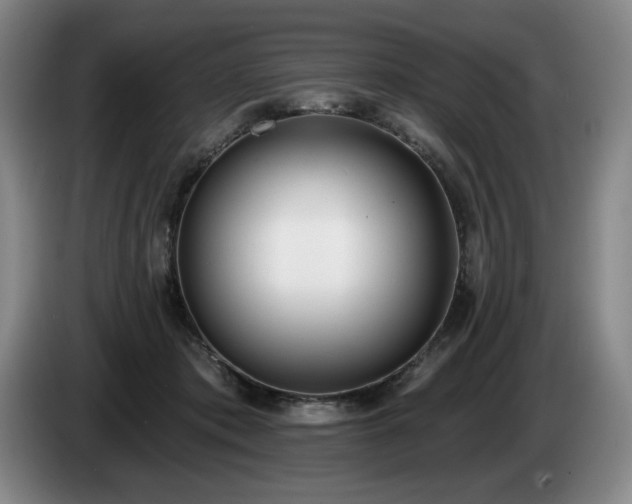 X0000085000413200703121504