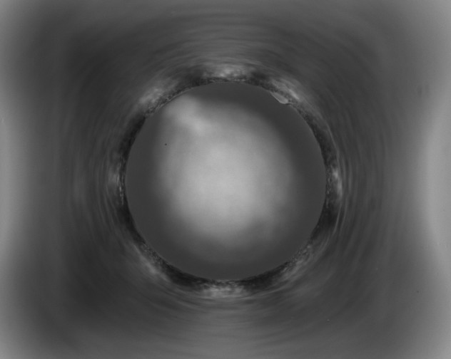 X0000085000415200703121504